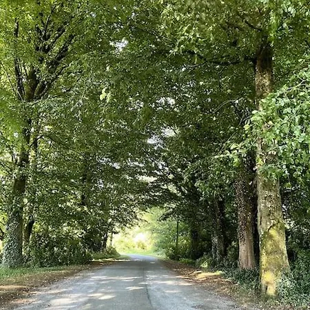 Ballyhoura Forest Ballyorgan